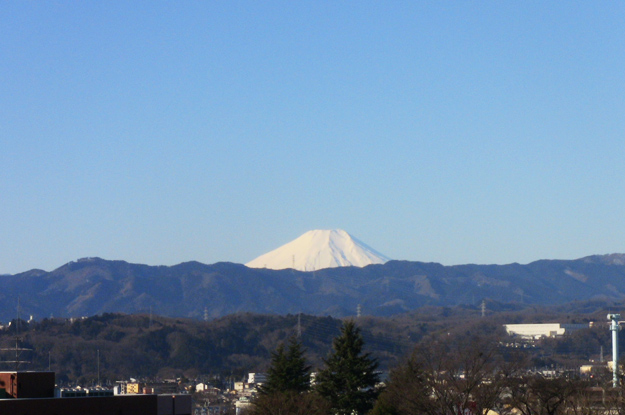お部屋からの富士山と多摩の山なみ